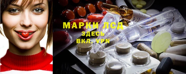 прущие грибы Белоозёрский