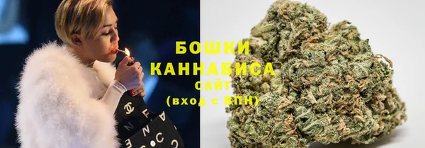 сатива Ступино