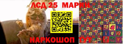 герыч Можга