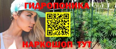 герыч Можга