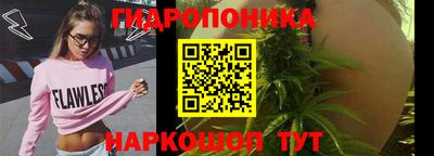 герыч Можга