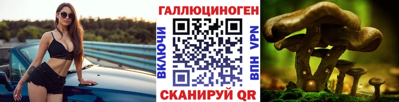 Галлюциногенные грибы Magic Shrooms  Гудермес 